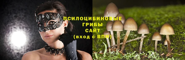 стафф Алексеевка