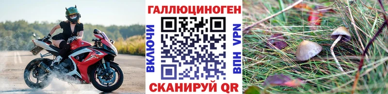 Псилоцибиновые грибы мицелий  Алексеевка 