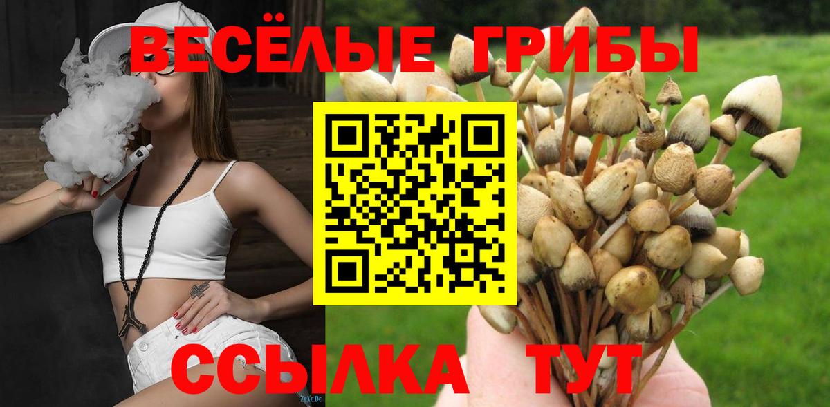Алексеевка  Псилоцибиновые грибы ЛСД  Вход с VPN 